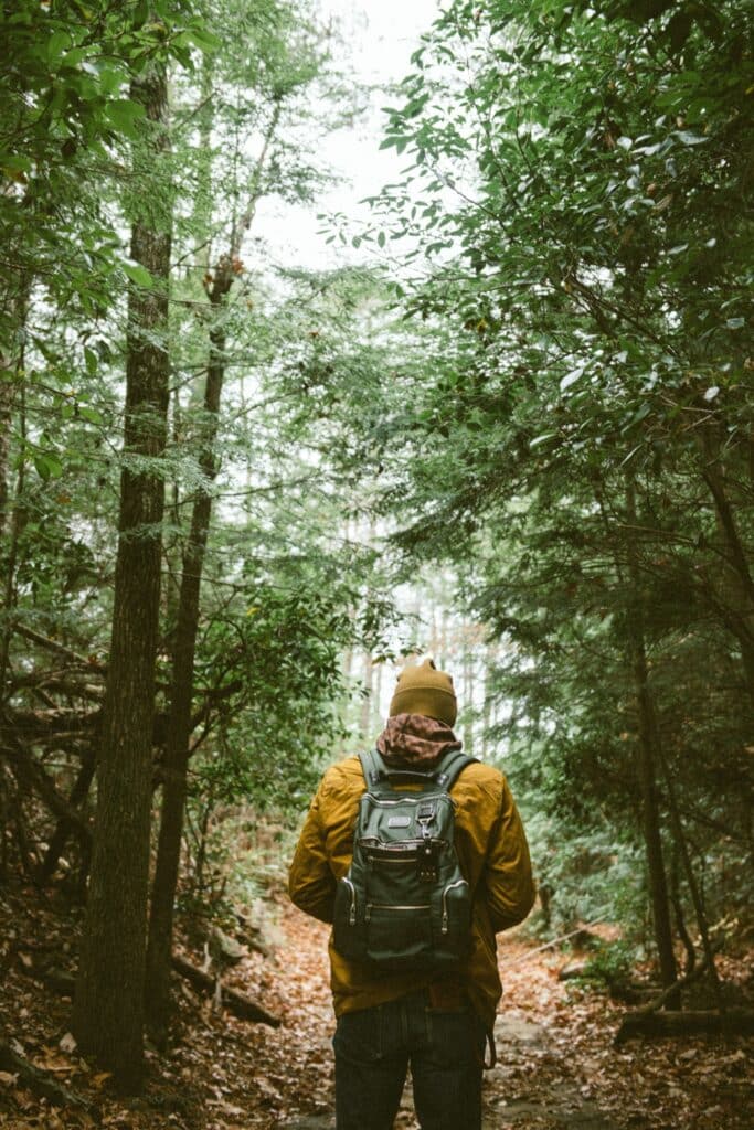 a person walking in the woods