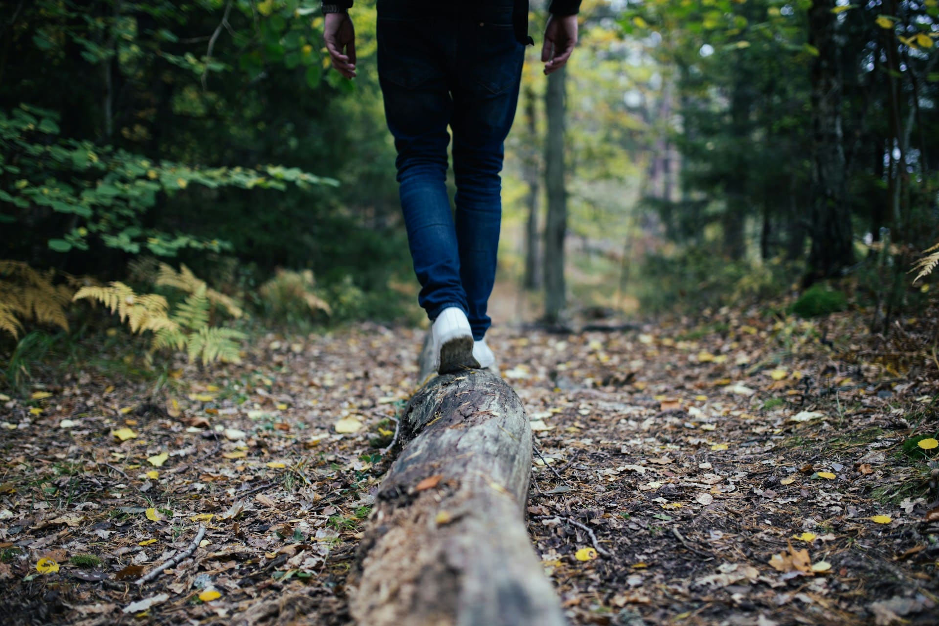 a person walking on a log